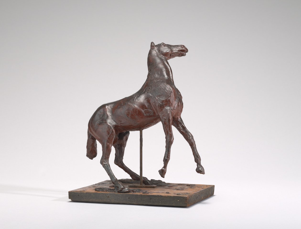 تربية الخيول ، 1880. بواسطة إدغار ديغا