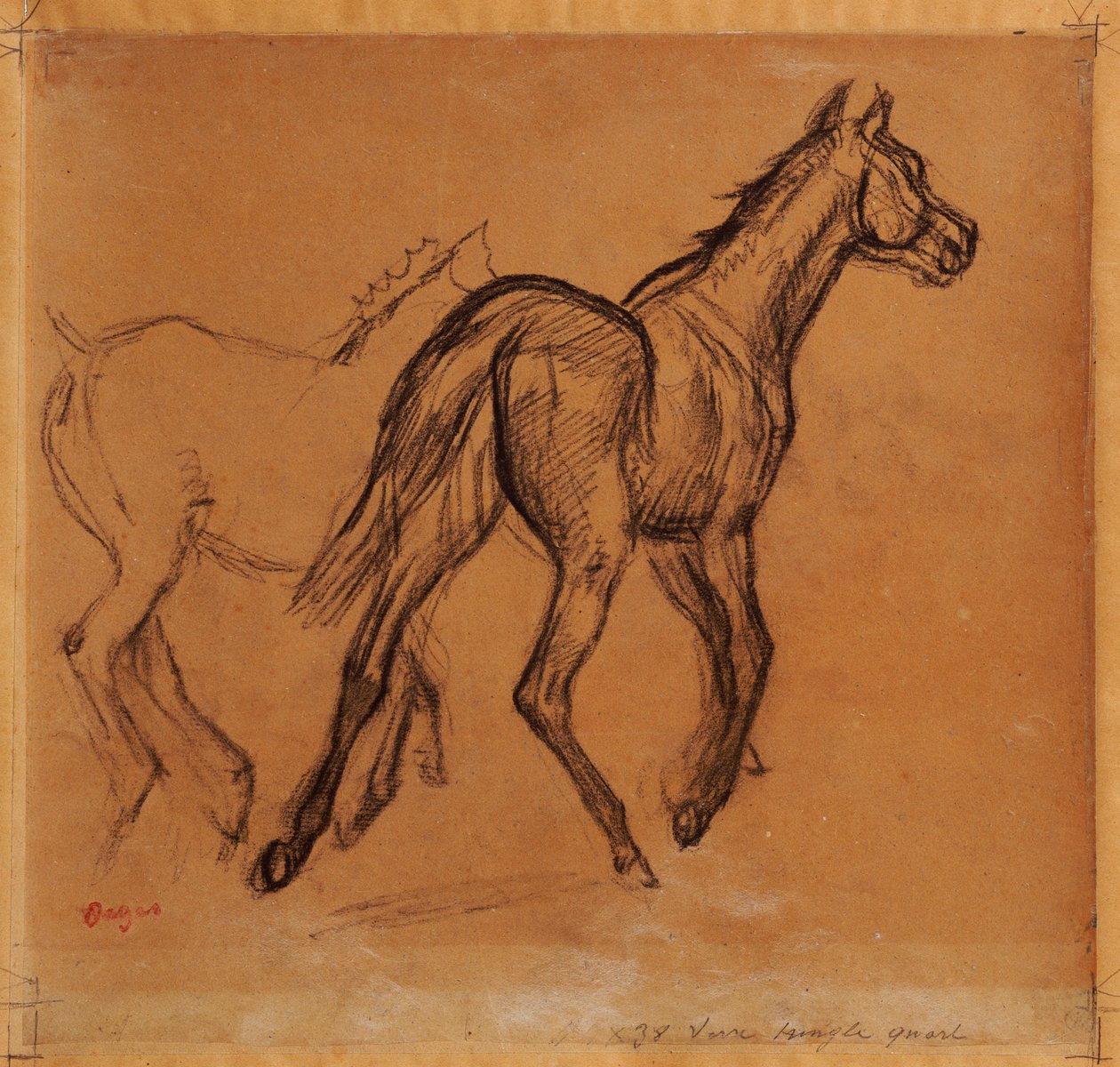 الخيول ، ج 1882 بواسطة إدغار ديغا