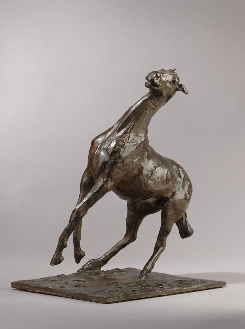 تربية الحصان ، على غرار c.1870s ، يلقي 1919-1921 بواسطة إدغار ديغا