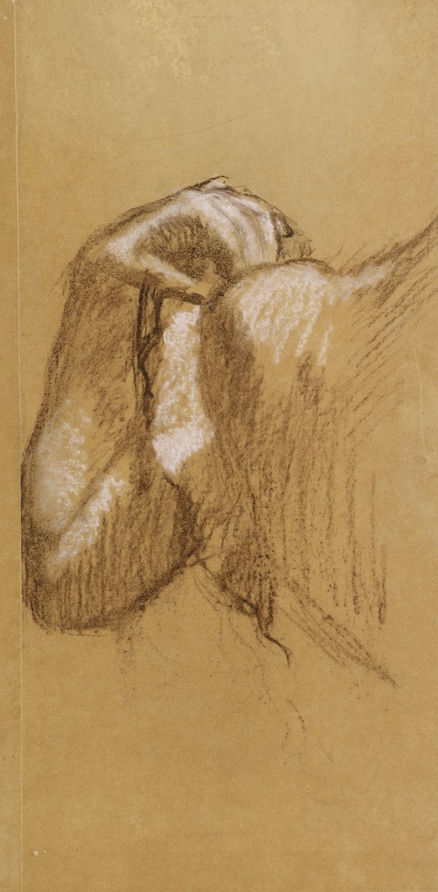 دراسة الذراع ، c.1895-90 (باستيل بني وأبيض على ورق استشفاف بني) بواسطة إدغار ديغا