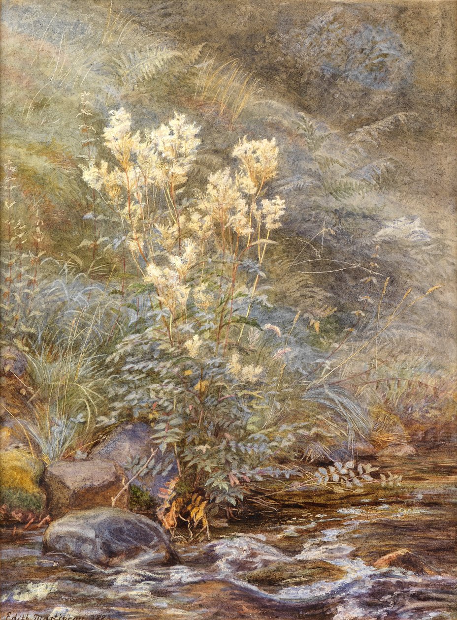 حلو المروج بجانب Burn ، Invernesshire ، حوالي عام 1883 (ألوان مائية مزينة بالأبيض) بواسطة إديث مارتينو