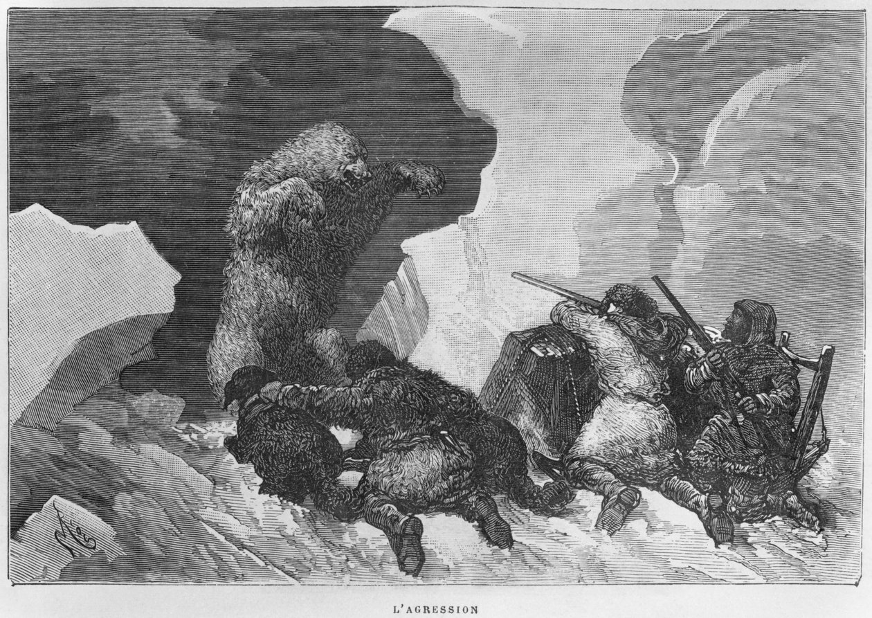 هجوم ، رسم توضيحي من &39;Expedition du Tegetthoff&39; بواسطة صلاة يوليوس (1841-1915) بواسطة إدوارد ريو