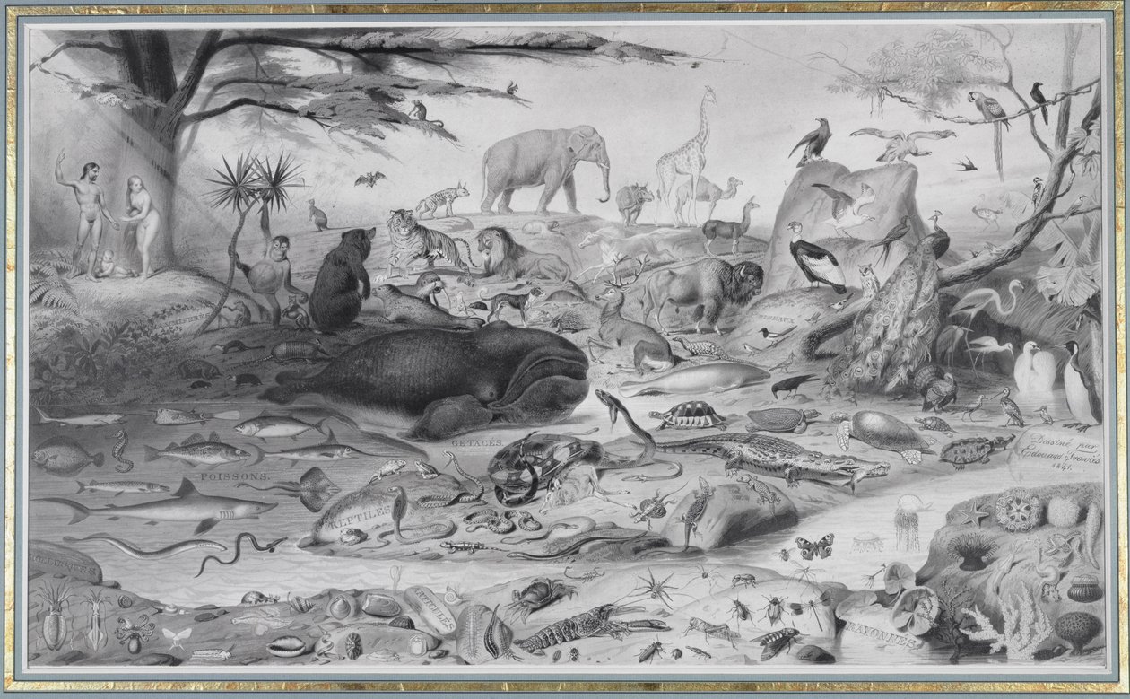 آدم وحواء والحيوانات ، 1841 بواسطة إدوارد ترافيس