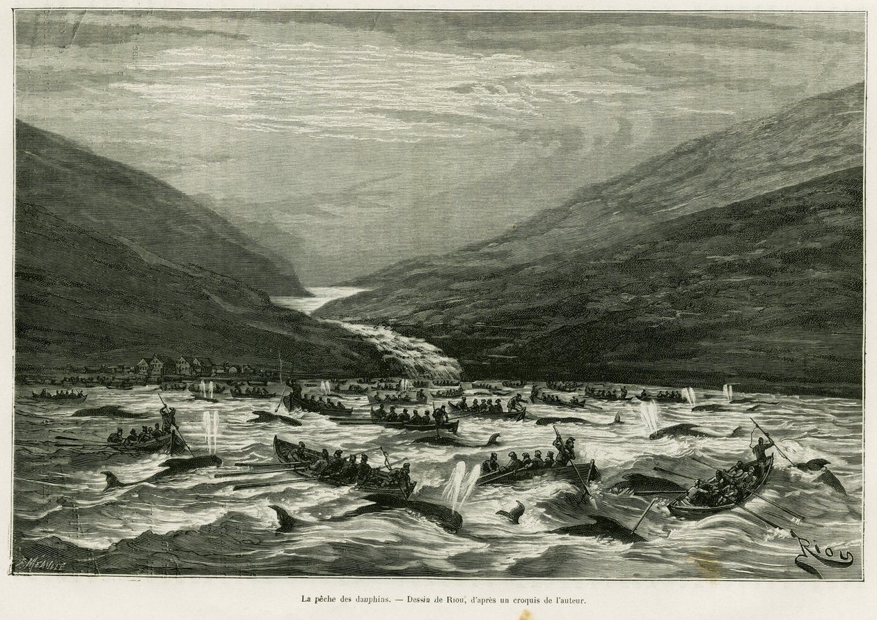 صيد الدلافين. نقش ريو لتوضيح قصة Un mois dans archipelago des Faeroer (فاروير ، فيرو ، الدنمارك) ، بقلم هـ.لابون ، في لو تور دو موند 1887 ، من إخراج إدوارد شارتون (1807-1890) ، هاشيت ، باريس. بواسطة إدوارد ريو
