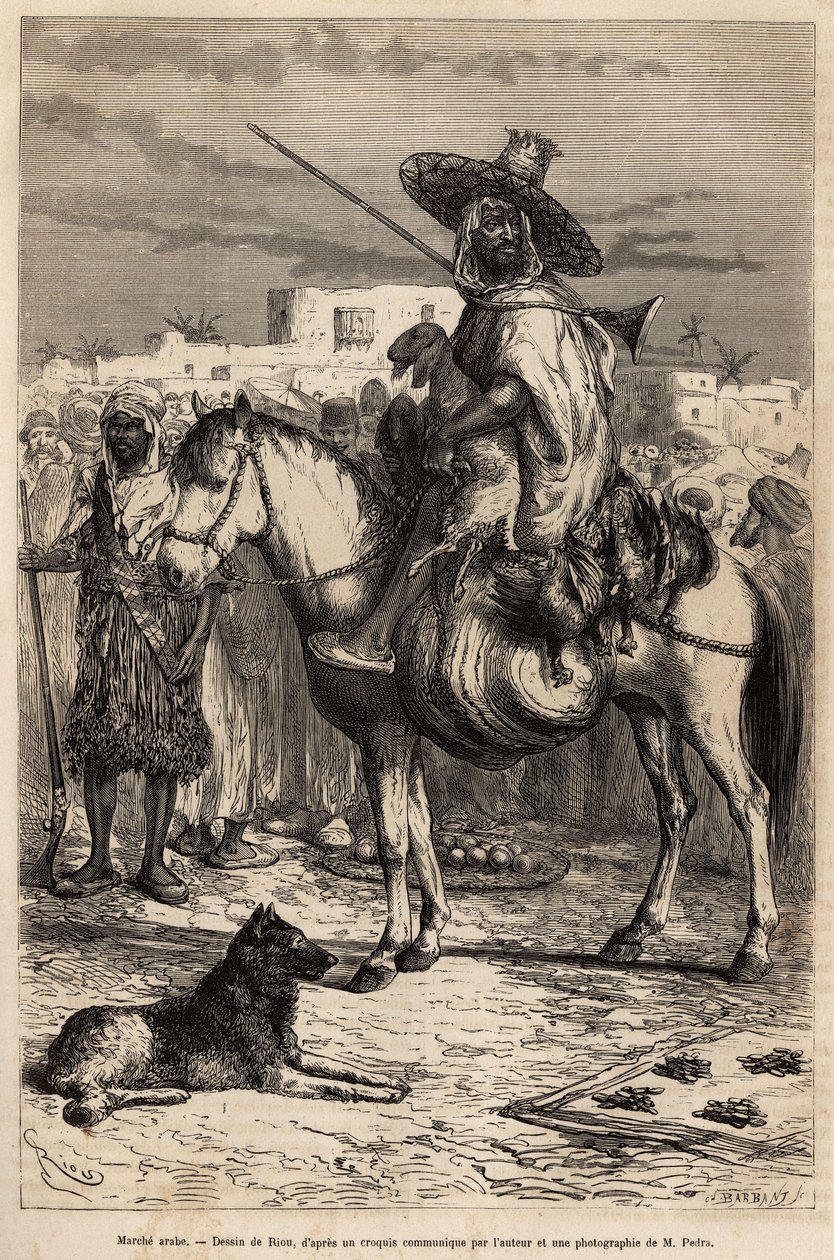صورة لتاجر عربي يحمل بضاعته (حملان ، دواجن ...) على حصانه في السوق ؛ يتم تقديم المنتجات في سلال أو على حصائر على الأرض ، ونقش بعد رسم من قبل إي ريو ، يوضح الرحلة إلى تلمسان (الجزائر) ، بقلم إ. بواسطة إدوارد ريو
