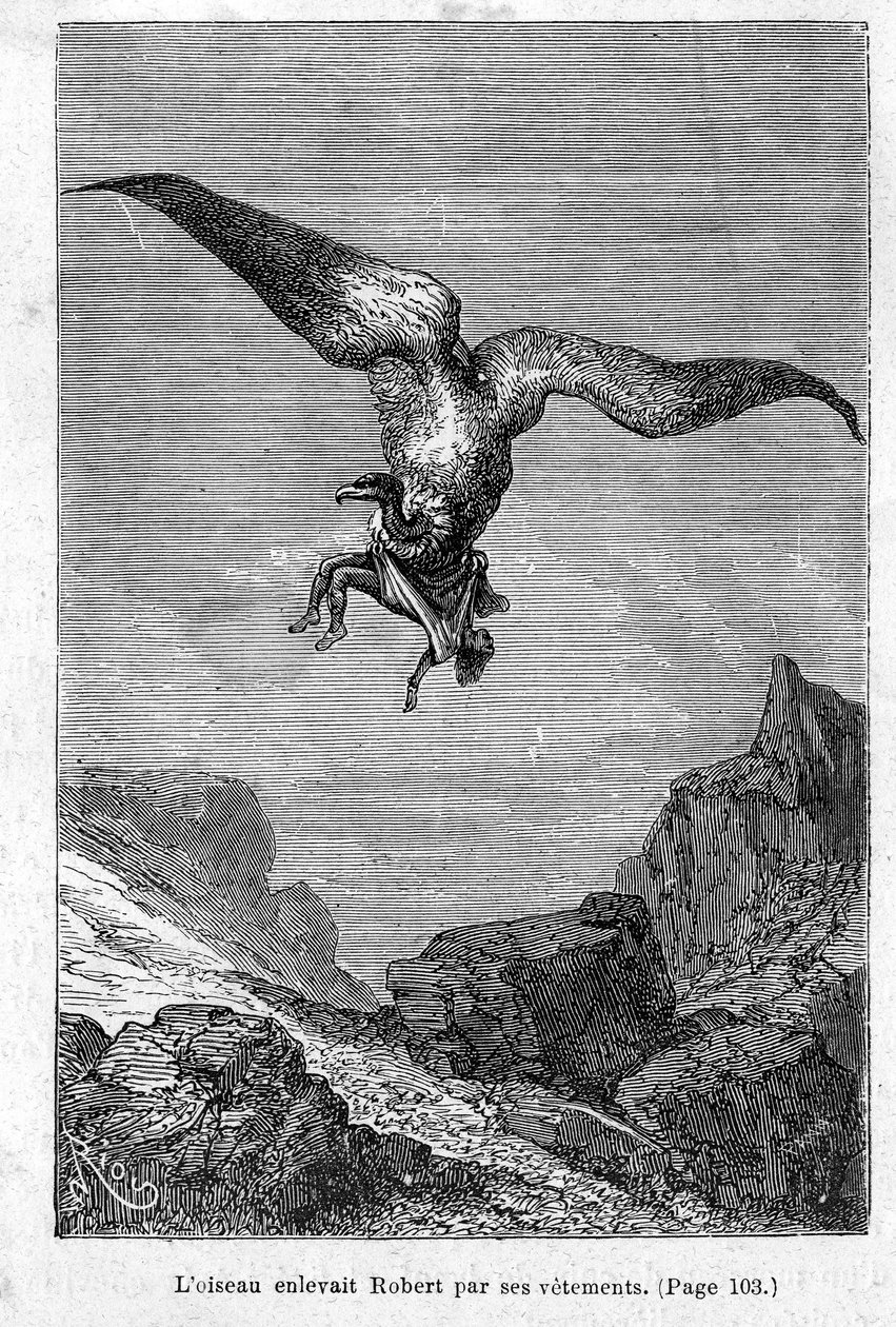 "أطفال الكابتن غرانت: الطائر اختطف روبرت بملابسه" بقلم جول فيرن ، طبعة Hetzel - Voyages Extraordinary 1868 بواسطة إدوارد ريو