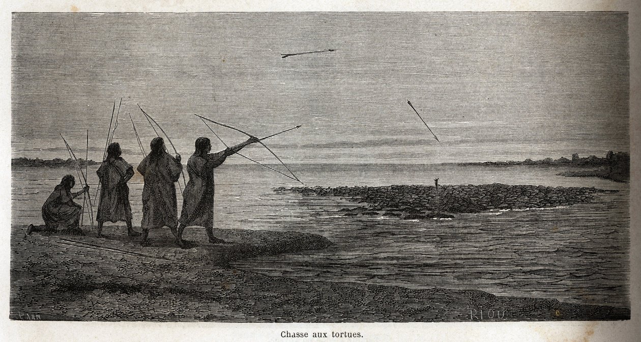 صيد السلاحف ، بين الكونيبو الهندي في بيرو ، رسمه ريو لتوضيح رحلة بي. ماركوي ، من 1848 إلى 1860 ، من المحيط الهادئ إلى المحيط الأطلسي. نقش في "" Le Tour du monde "، تحرير إدوارد شارتون بواسطة إدوارد ريو