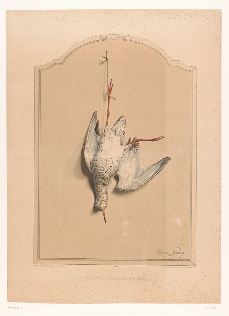 الميت Redshank يتدلى من ساقه Le chevalier aux pieds rouge (العنوان على الكائن) متحف الصياد (عنوان السلسلة) Musée du Chasseur (عنوان السلسلة على الكائن) بواسطة إدوارد ترافيس