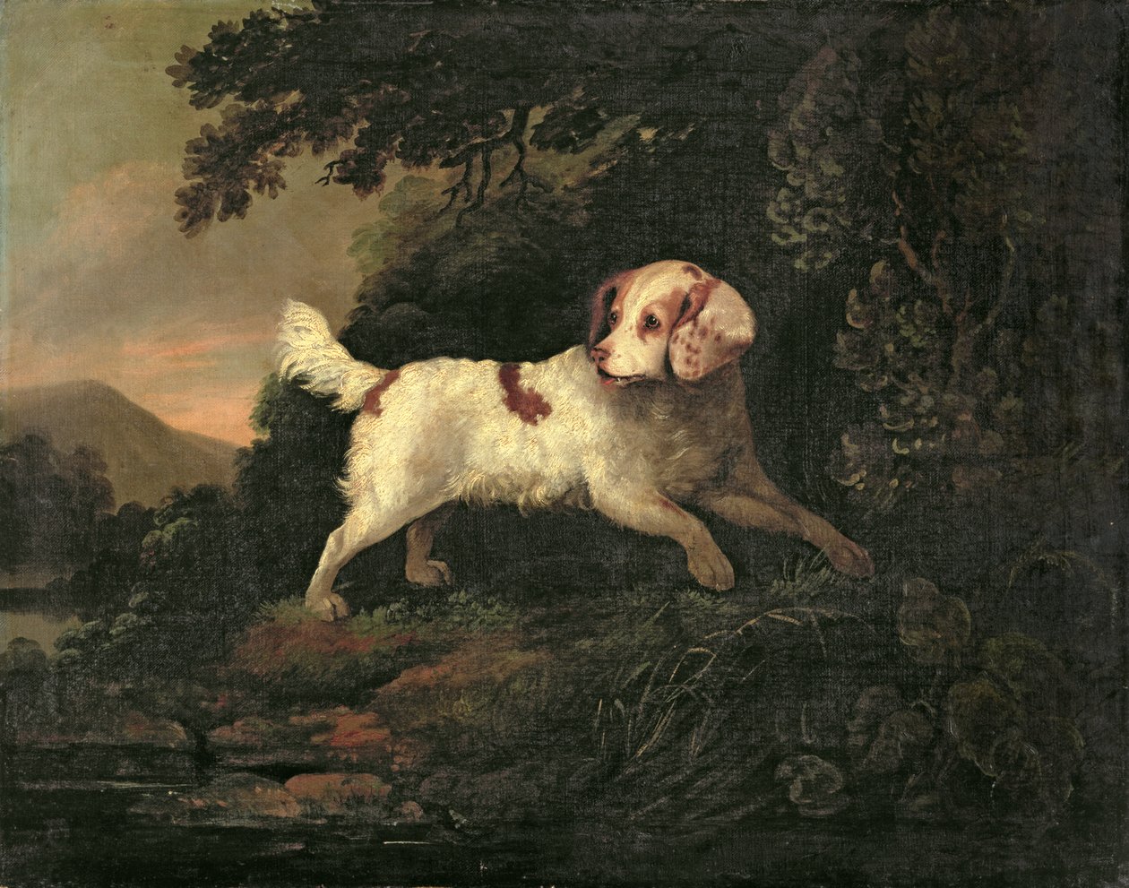 دراسة Clumber Spaniel في المناظر الطبيعية لنهر المشجرة بواسطة إدوارد كوبر