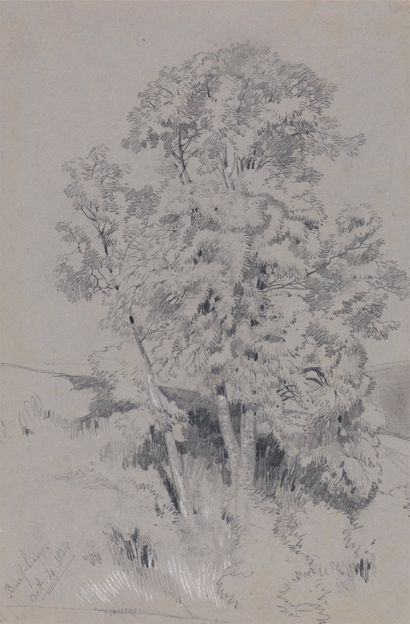Burpham Oct.4.1834 بواسطة إدوارد لير