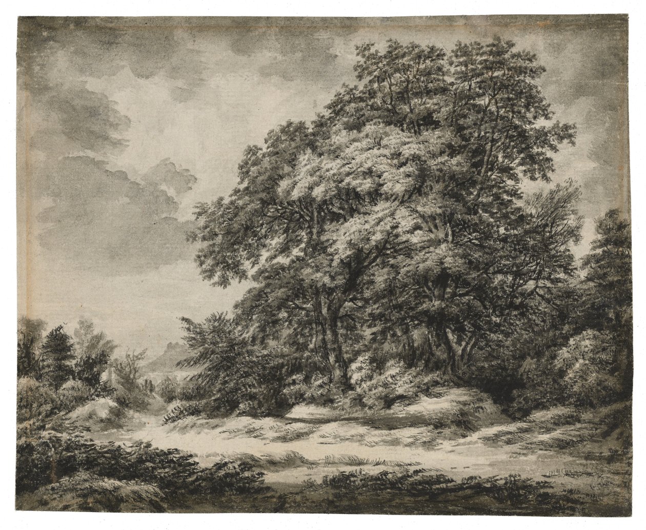 المناظر الطبيعية للغابات (المستقيم) ، ج. 1838-1848 (حبر ويغسل على ورق مضغوط) بواسطة إدوارد لير