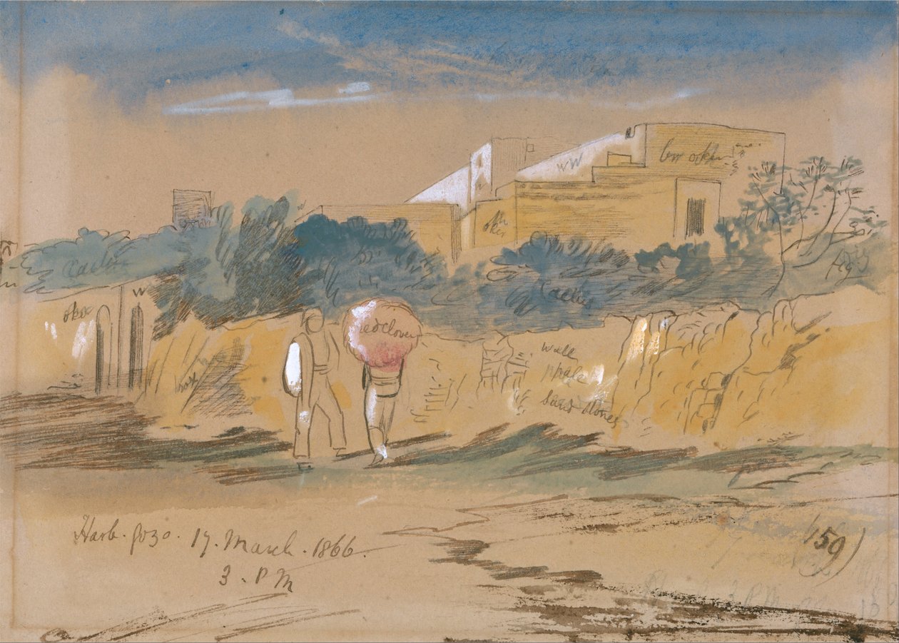 Harb. Gozo بواسطة إدوارد لير