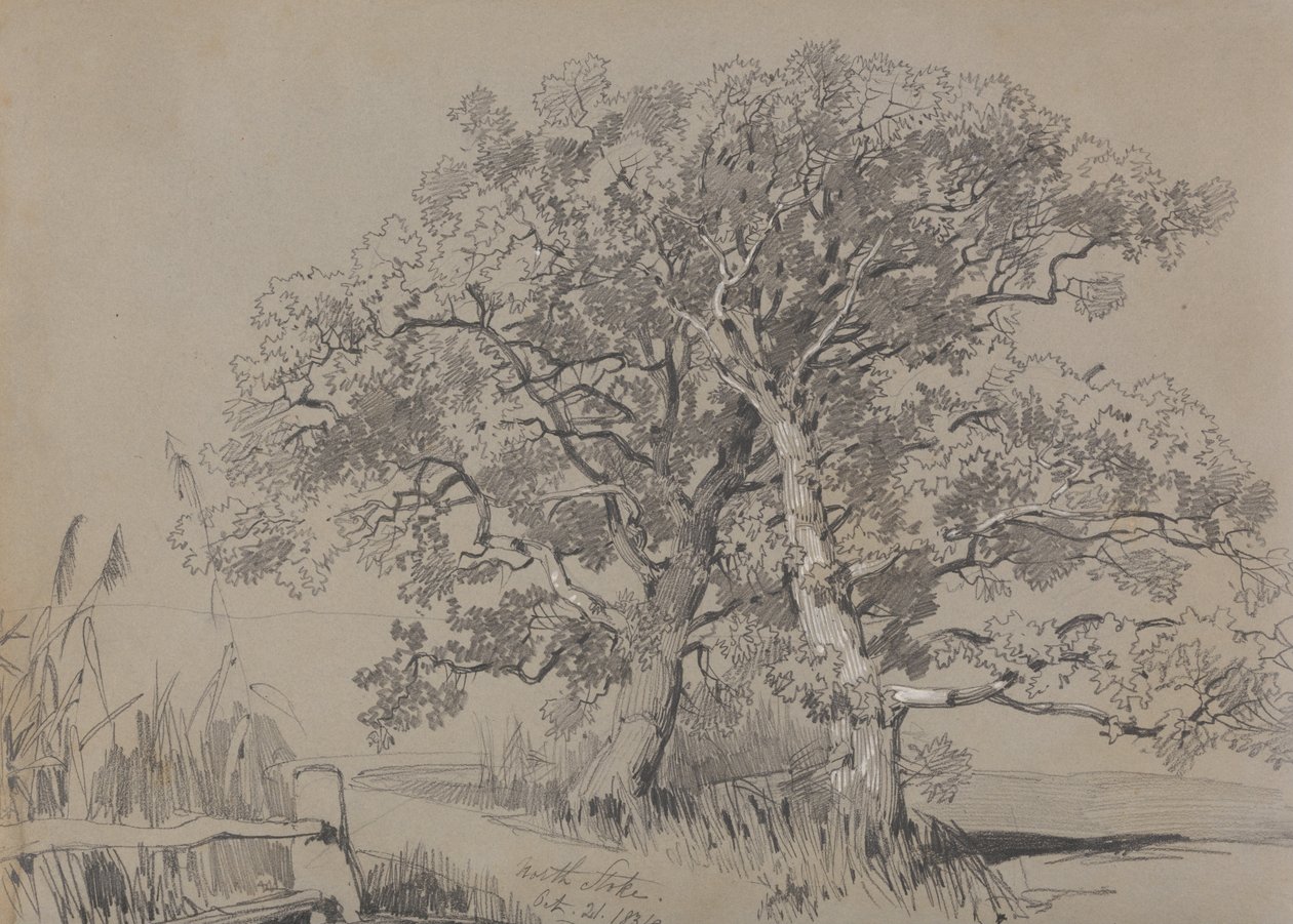 نورث ستوك. 21 أكتوبر 1834. بواسطة إدوارد لير