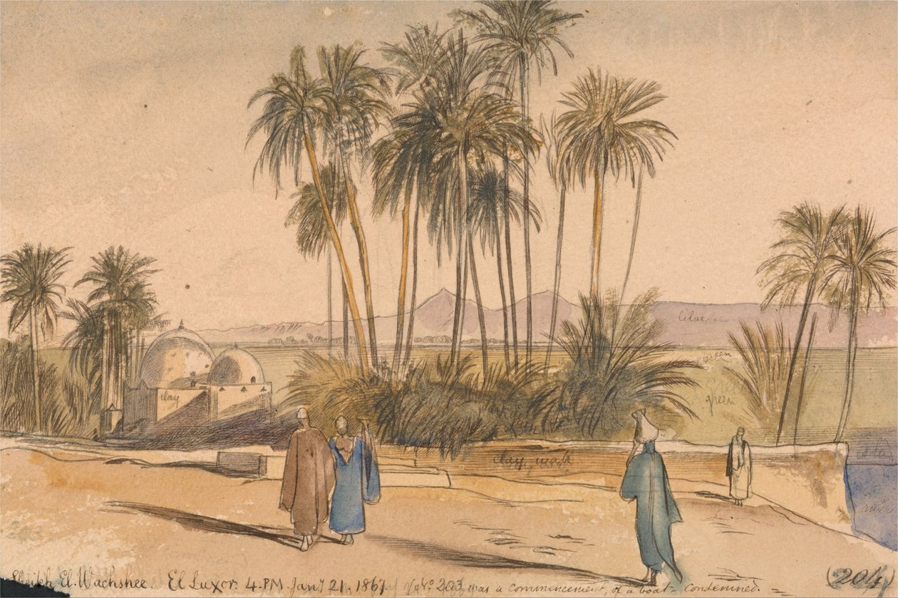 شيخ الوشيه ، الاقصر بواسطة إدوارد لير