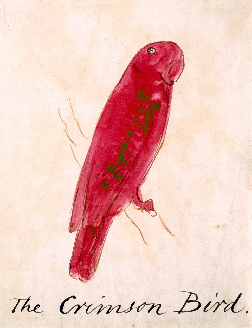 The Crimson Bird ، من "Sixteen Draws of Comic Birds" (القلم والحبر wc على الورق) بواسطة إدوارد لير