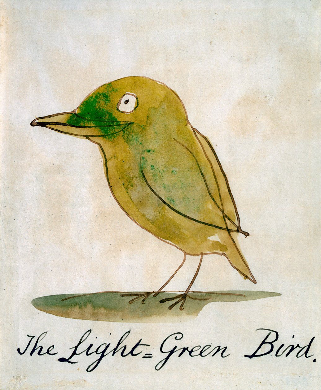 The Green Green Bird ، من "ستة عشر رسمًا للطيور المصورة" (القلم والحبر على الورق) بواسطة إدوارد لير