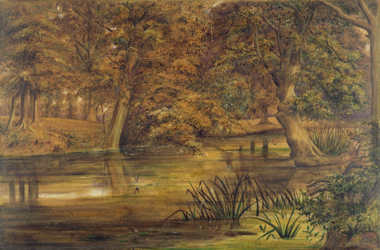 Back Water of the Bratford، 1864 (مرحاض وقلم رصاص على ورق) بواسطة إدوارد دبليو فيتش