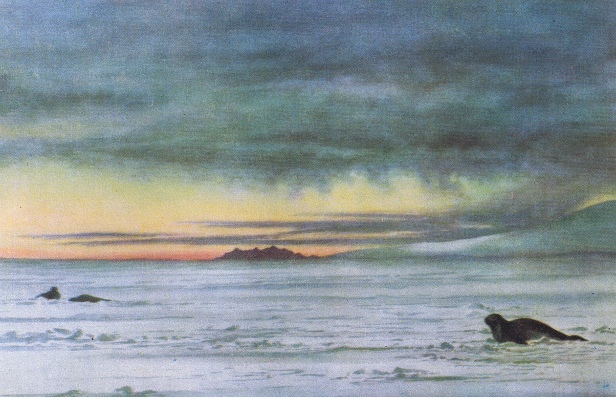 بالنظر إلى الشمال في McMurdo Sound ، من المغامرة البريطانية التي نشرها كولينز ، 1947 بواسطة ادوارد ادريان ويلسون