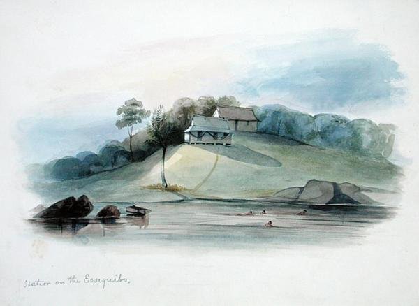 محطة في Essiquibo ، غيانا البريطانية ، حوالي عام 1840 (ألوان مائية على ورق) بواسطة إدوارد أنجيلو جودال