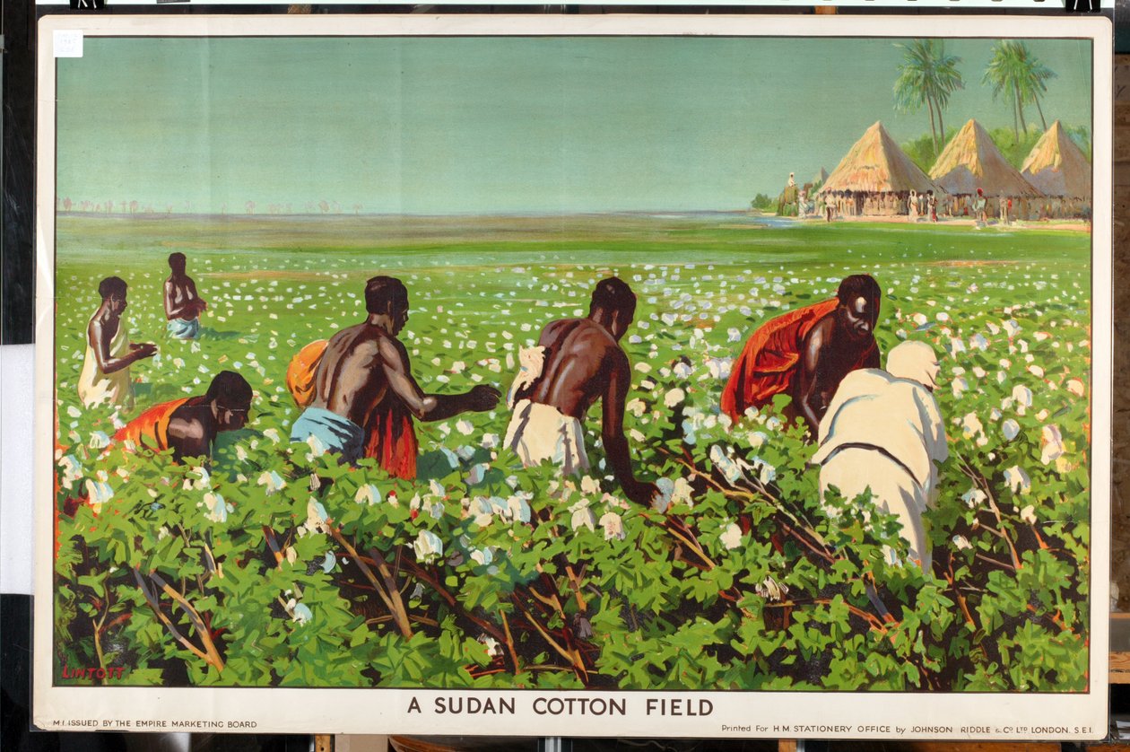 حقل قطن سوداني ، من سلسلة "التجارة الإمبراطورية آخذة في النمو" (لون ليثو) بواسطة إدوارد بارنارد لينتوت