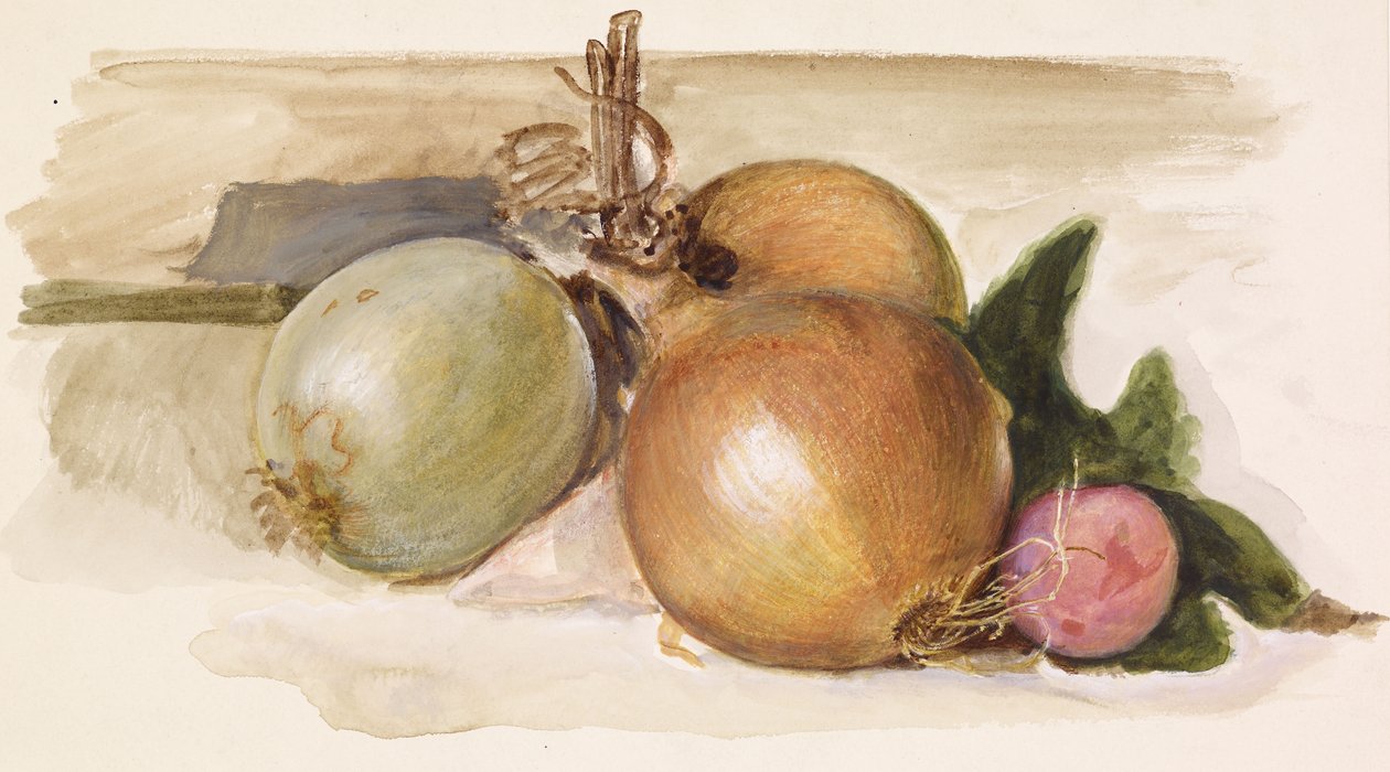 الحياة الساكنة - دراسة البصل ، 1871-1875 بواسطة إدوارد بورن جونز