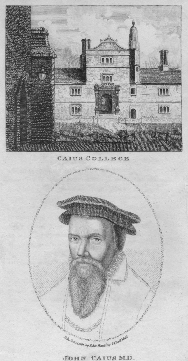 كلية كايوس ، John Caius MD ، 1801. بواسطة إدوارد هاردينج