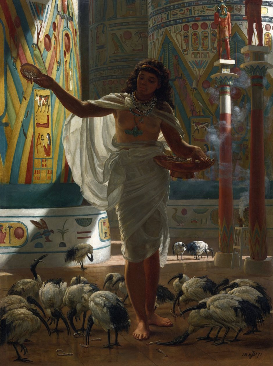 إطعام أبو منجل المقدس في قاعات الكرنك par Poynter ، إدوارد جون (1836-1919) بواسطة إدوارد جون بوينتر
