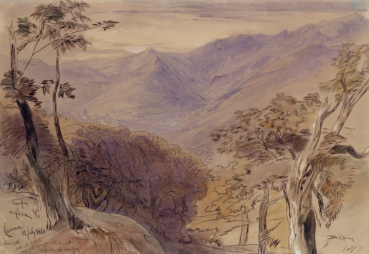 كرارا ، 1861 (قلم ، قلم رصاص ، حبر ومرحاض على ورق) بواسطة إدوارد لير