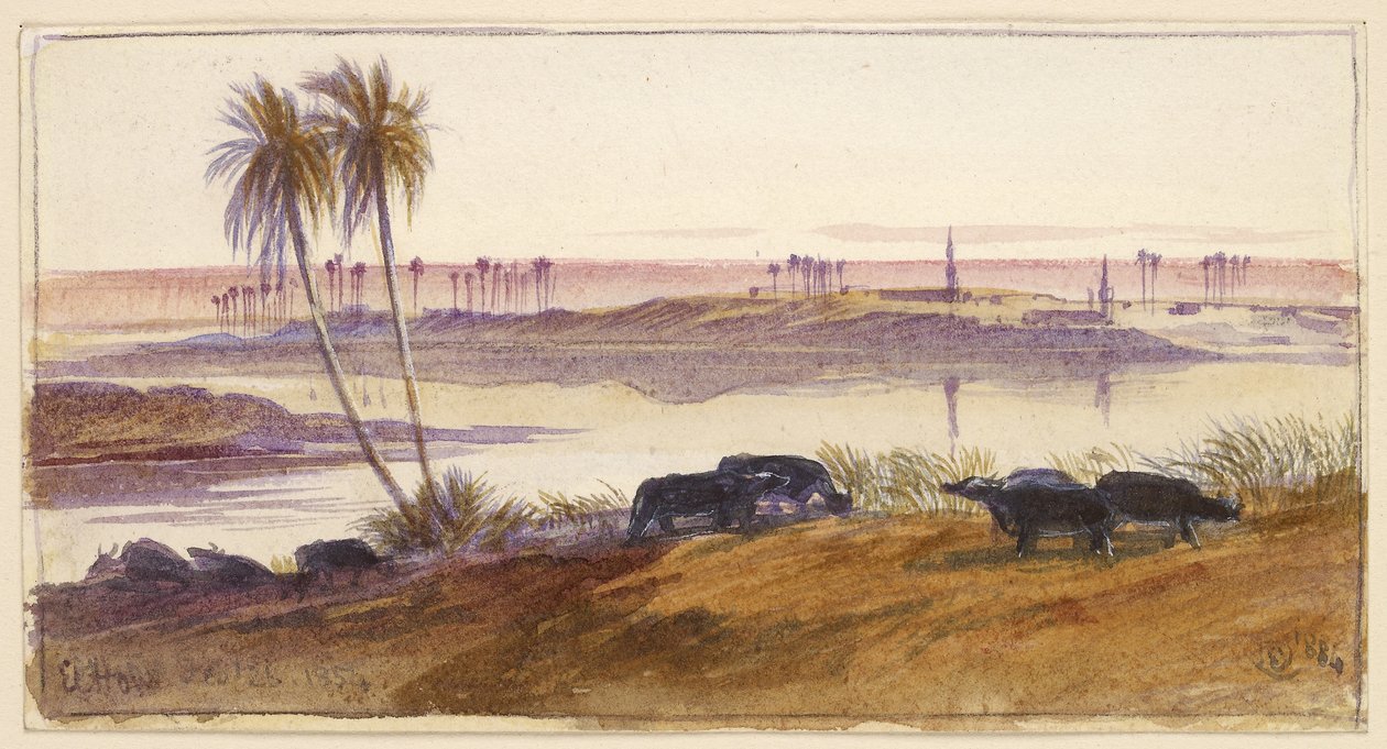الهون ، مصر ، 1884 (ألوان مائية وقلم وحبر مع لون الجسم) بواسطة إدوارد لير