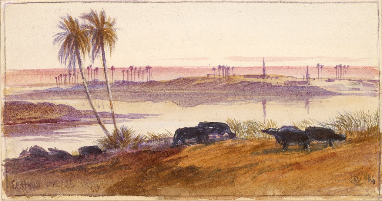الهون ، مصر ، 1884 بواسطة إدوارد لير