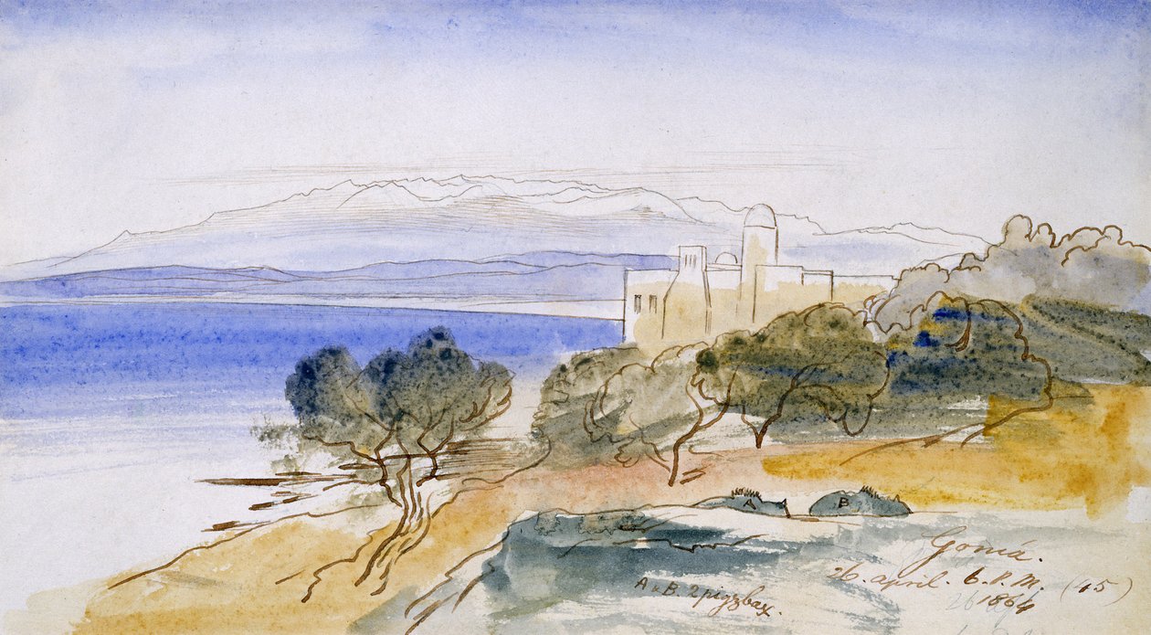 غونيا ، 1864 (قلم وحبر ومرحاض على ورق) بواسطة إدوارد لير