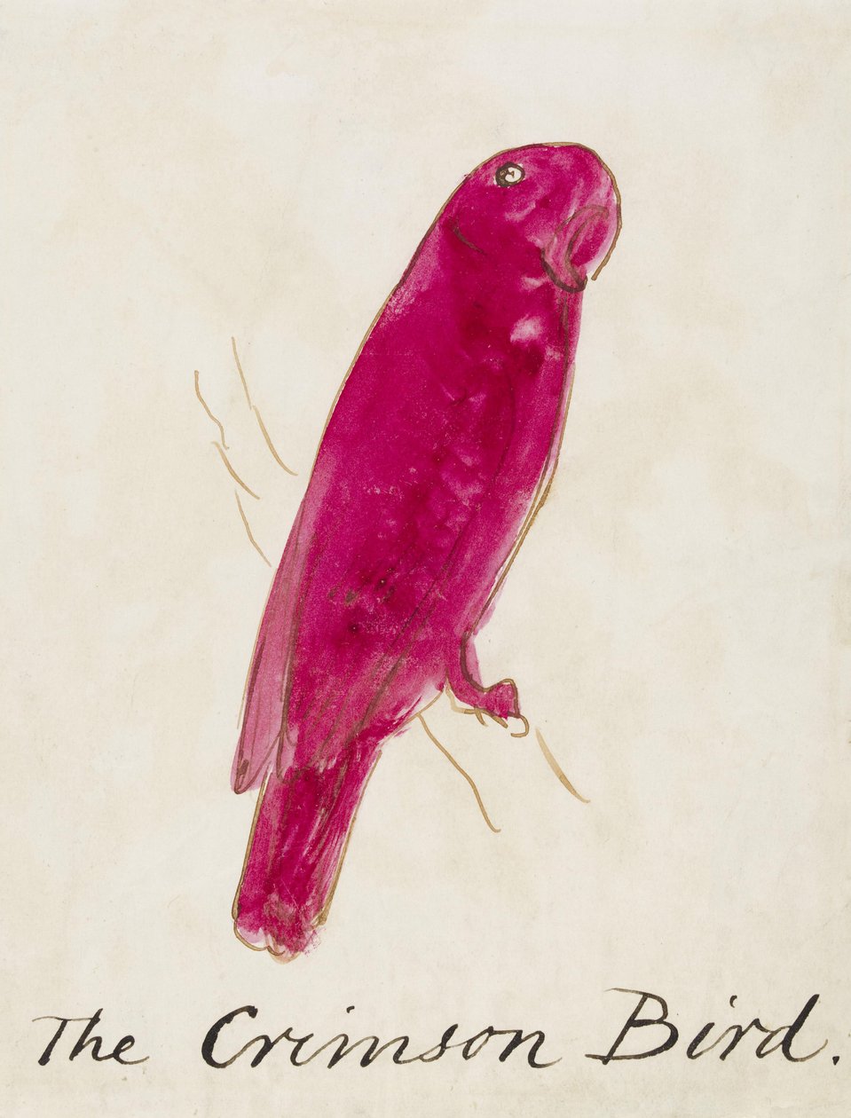 The Crimson Bird ، من ستة عشر رسمًا للطيور المصورة (القلم والحبر على الورق) بواسطة إدوارد لير