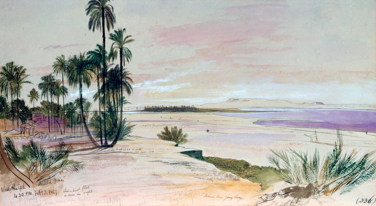 Wadi Halfeh, 3rd Febuary 1867 بواسطة إدوارد لير