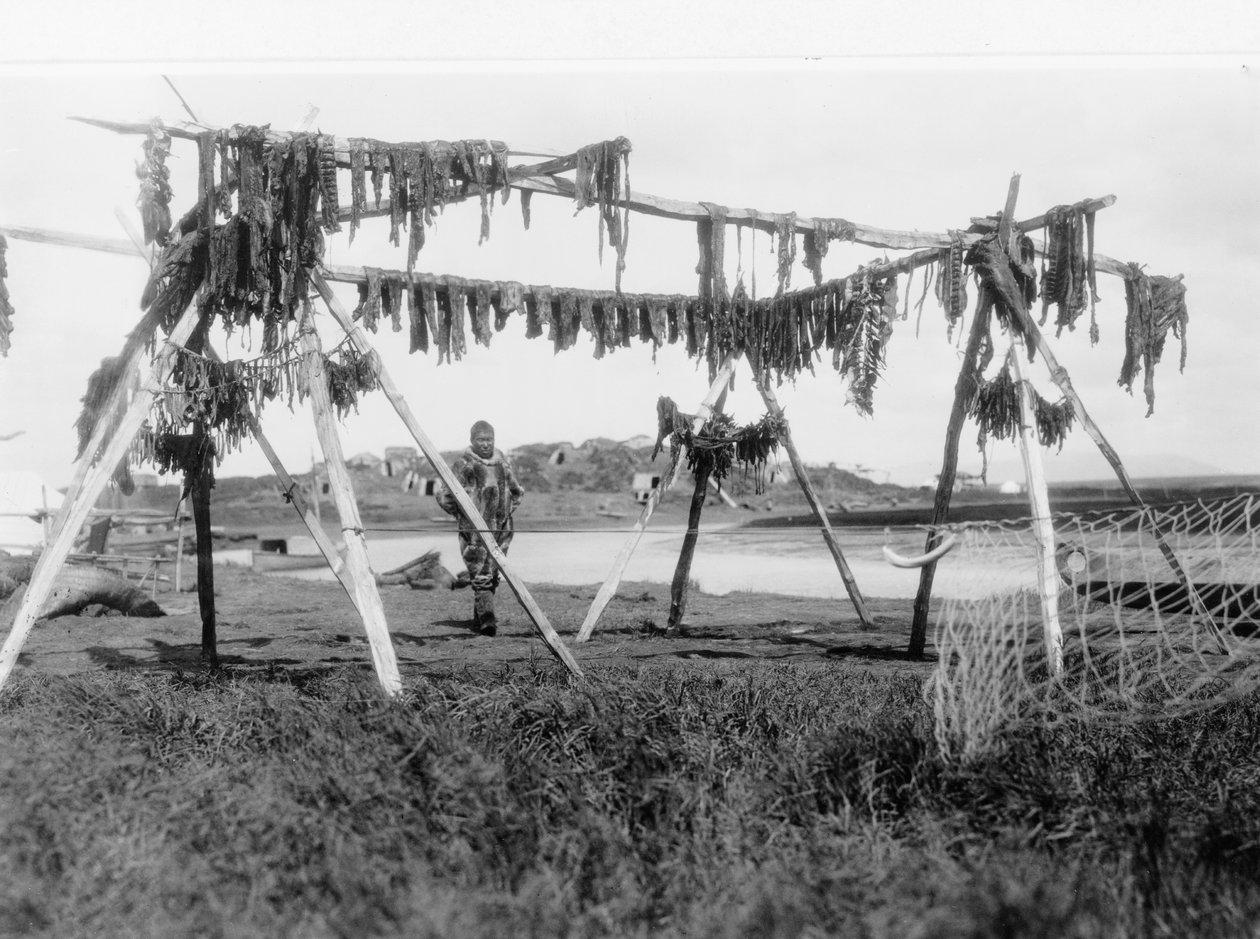 رجل من الإسكيمو يقف تحت هيكل مع لحم حوت معلق حتى يجف ، حوالي عام 1929 (صورة بالأبيض والأسود) بواسطة إدوارد شريف كيرتس