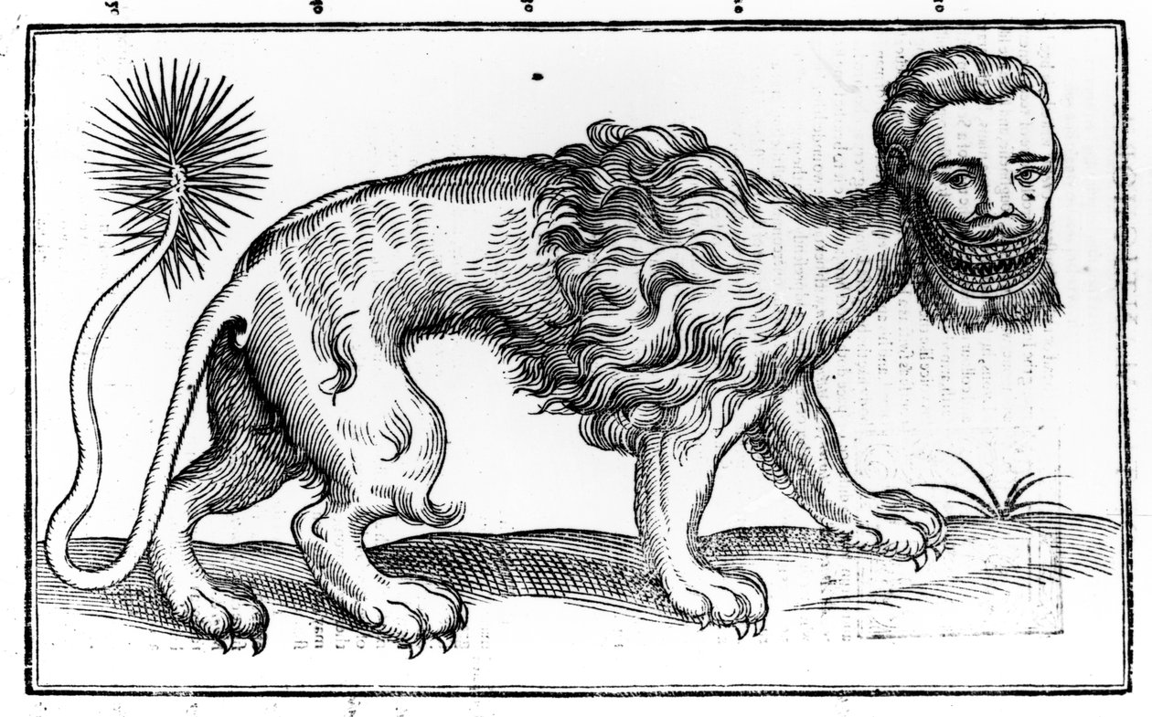 Manticore من "Historie of Foure-Footed Beastes" بقلم إدوارد توبسيل ، نشر 1607 بواسطة إدوارد توبسيل