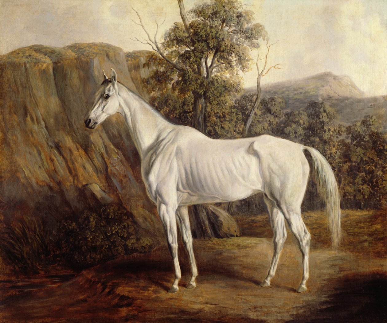 بوليفيا ، 1836 بواسطة إدوارد تروي