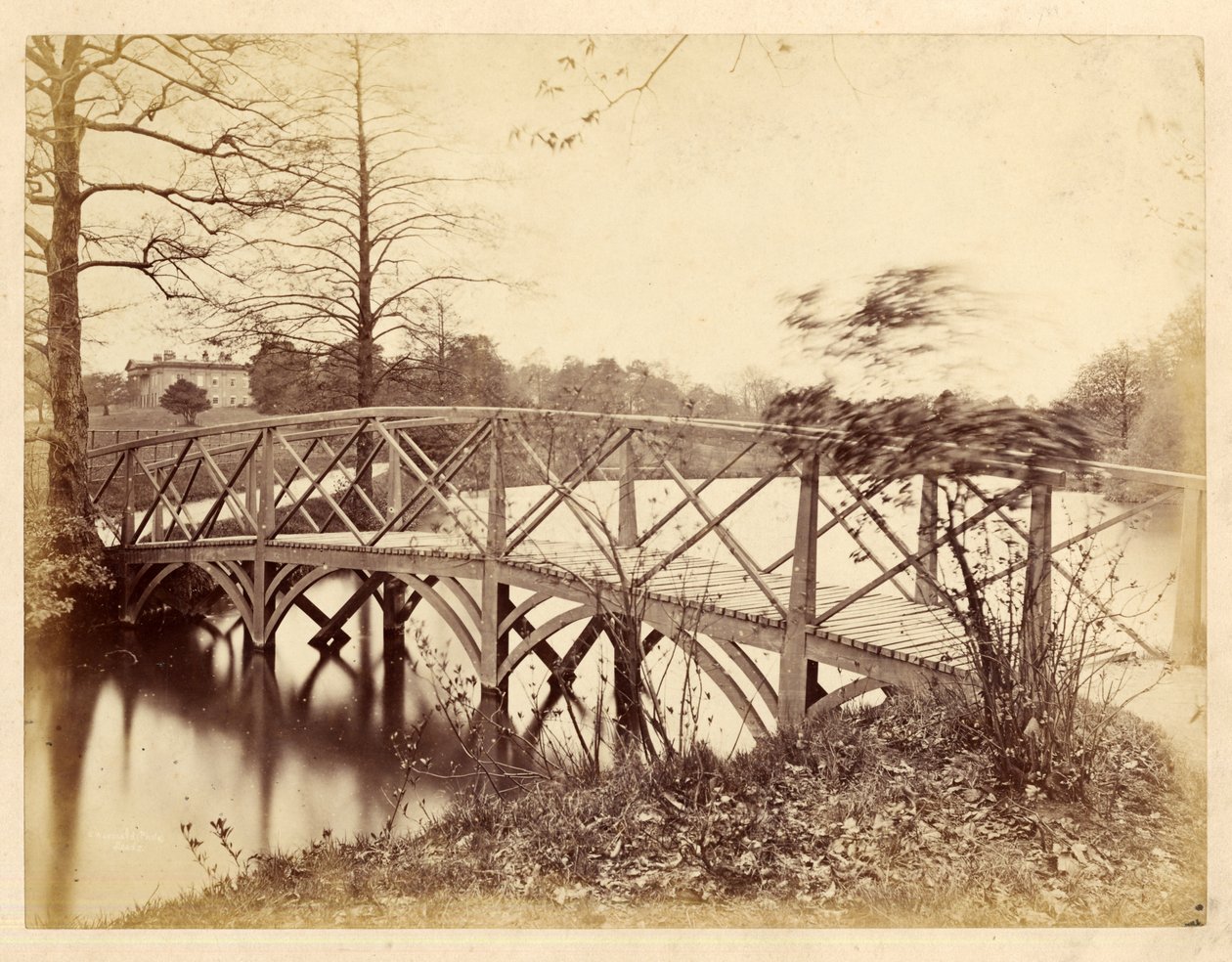 Roundhay Park (b / w photo) بواسطة إدوارد ورمالد