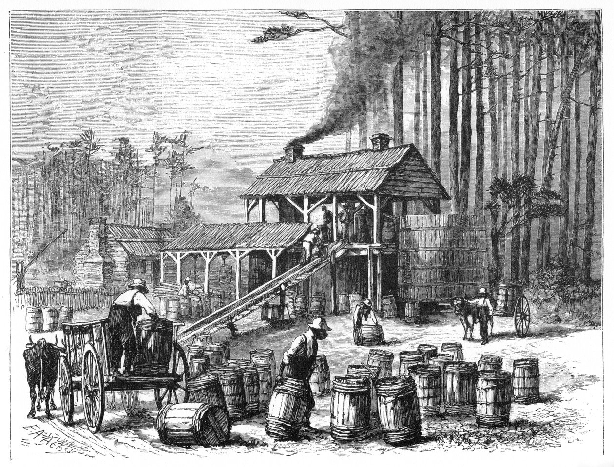 تقطير التربنتين ، كارولينا الشمالية ، 1870. بواسطة إدوين أوستن أبي