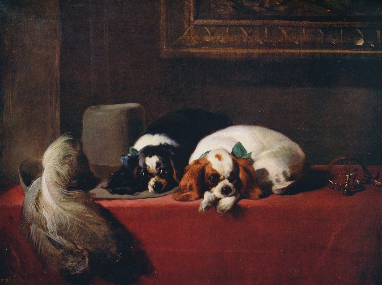 الملك تشارلز Spaniels The Cavaliers Pets ، 1845 ، c1915 بواسطة إدوين لاندسير