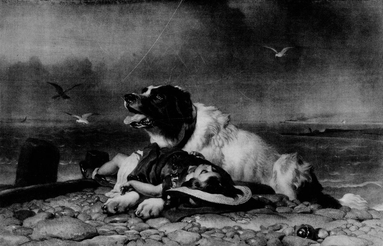 تم الحفظ !، c1856 ، 1911 بواسطة إدوين لاندسير