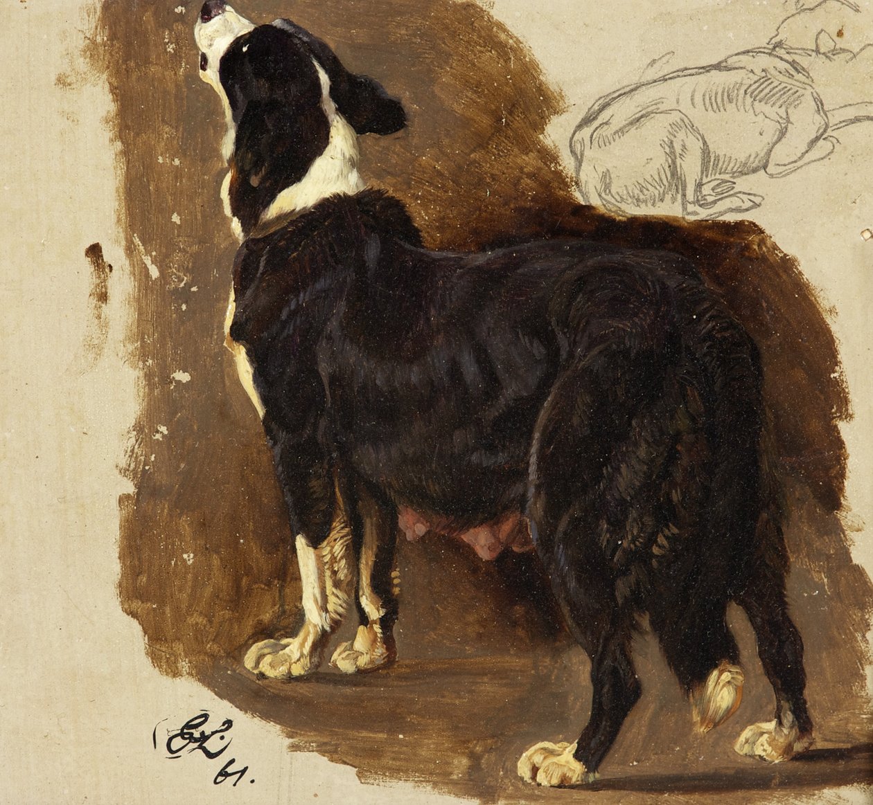 Collie Bitch (زيت وقلم رصاص على البطاقة) بواسطة إدوين لاندسير