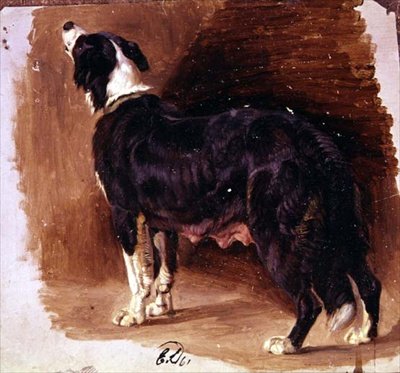 رسم الكولي بواسطة إدوين لاندسير