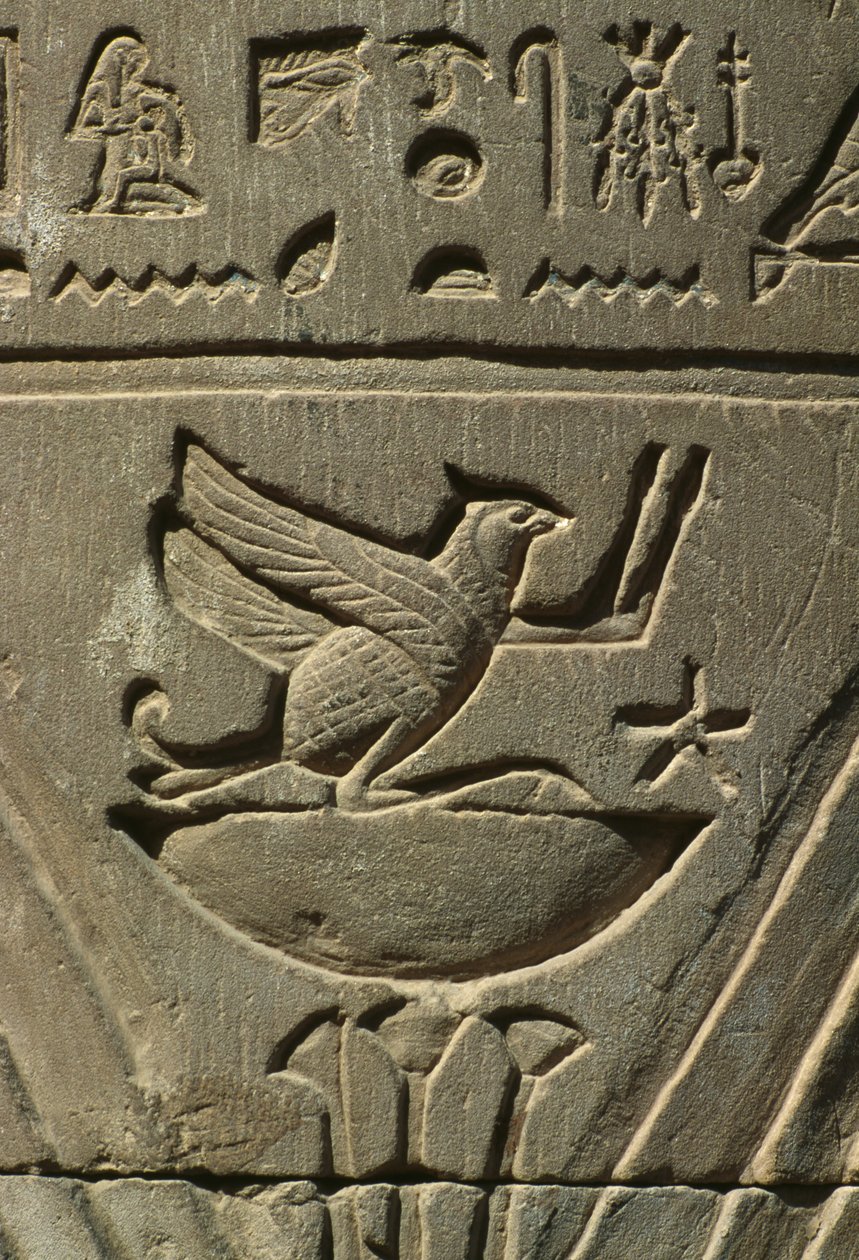 تفاصيل نقش بارز من الحجر الجيري بواسطة مصري