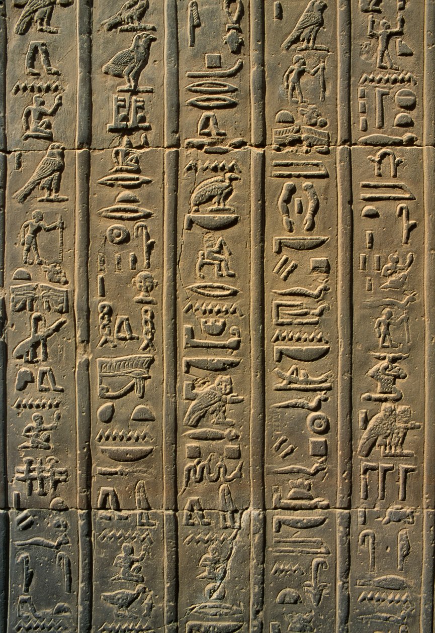 تفاصيل الحجر الهيروغليفي البارز بواسطة مصري