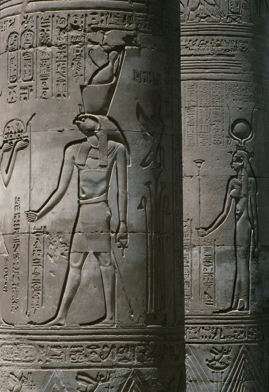 تفاصيل عن الأعمدة ، والمعبد الروماني والبطلمي المزدوج لسوبك وهاروريس على نهر النيل بواسطة مصري
