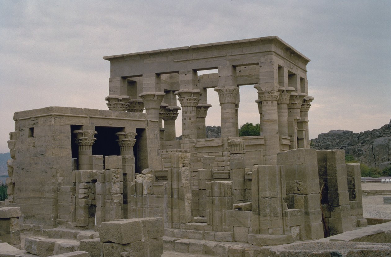 عرض خارجي بواسطة مصري