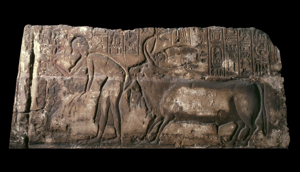 كتلة من الحجر الرملي تصور Satepatenkhay تقديم الثور القرباني ، 1333-23 قبل الميلاد بواسطة الأسرة الثامنة عشر المصرية