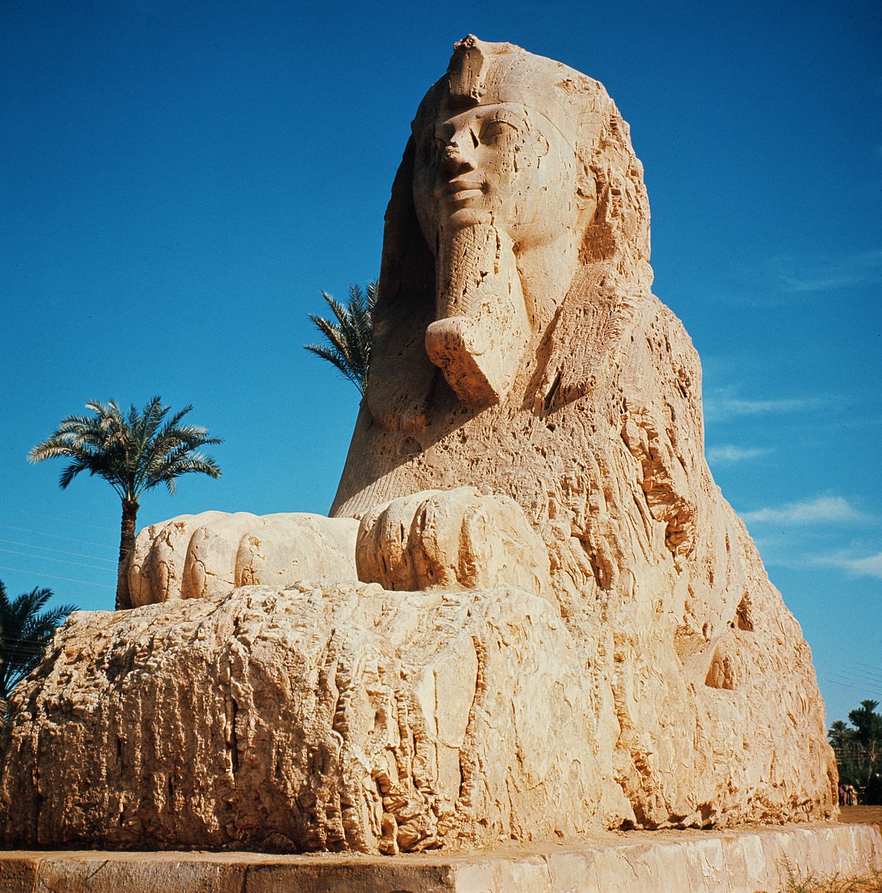 المرمر أبو الهول ، المملكة الحديثة ، ربما من عهد أمنحتب الثاني ، 1450-1425 قبل الميلاد (انظر أيضًا 59240) بواسطة الأسرة الثامنة عشر المصرية