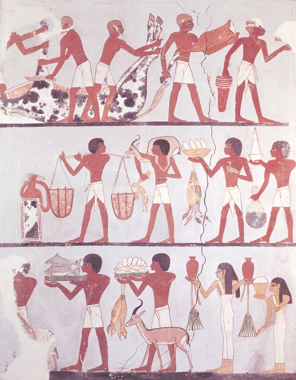 مشهد للجزارين والخدم الذين يجلبون القرابين ، من مقبرة أنسو ، 1375 ق بواسطة الأسرة الثامنة عشر المصرية