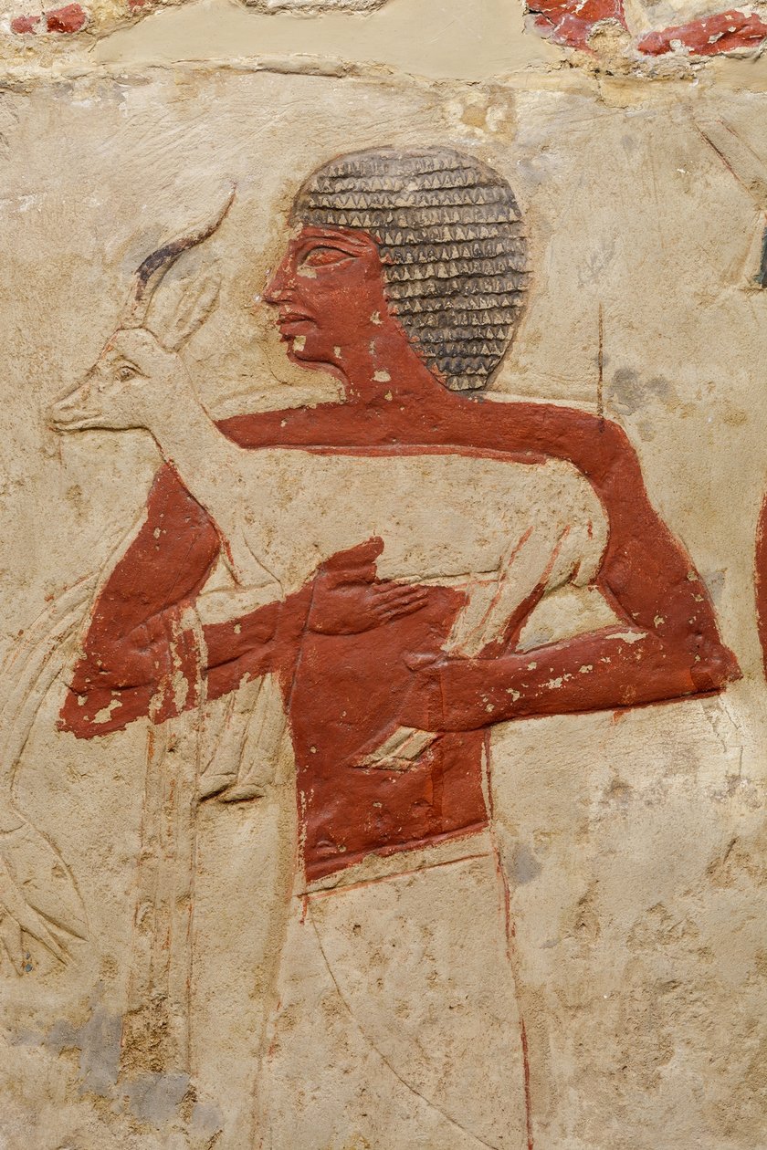مقبرة مصطبة في بيرنب ، c.2381-2323 قبل الميلاد (الحجر الجيري والطلاء) بواسطة الأسرة الخامسة المصرية